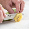 THE PERFECT | 4" Paring Knife